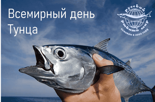 Рисунок1.png