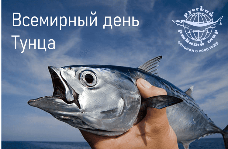 Рисунок1.png